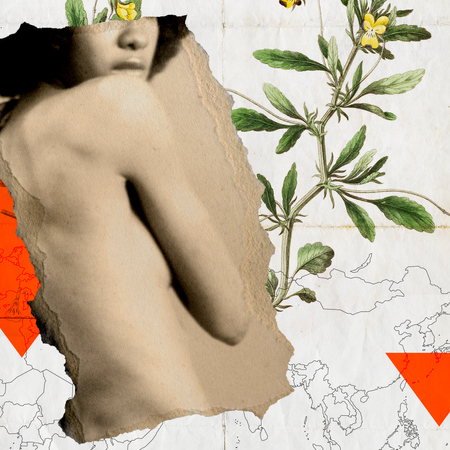 Arm, Botany, Plant, Flower, Illustration, Chest, Trunk, Art, 