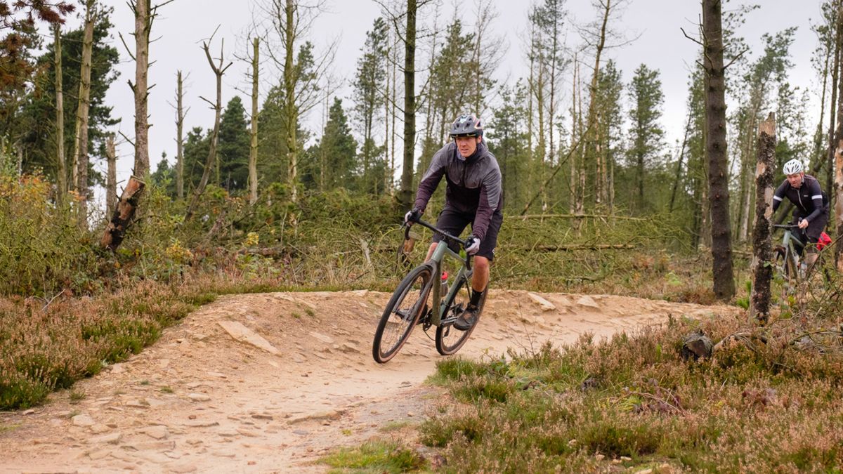 Gravel bike or 29er hardtail