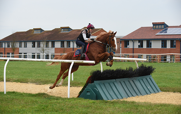 Point-to-Point training on the hurdles at the British Racing School in Newmarket in Suffolk, UK on the 3rd December 2015