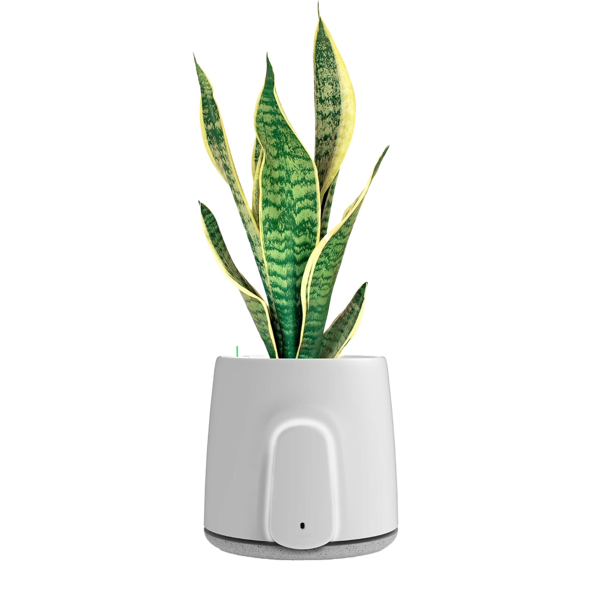 Vitesy Natede Smart air purifier