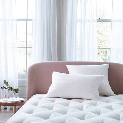 anti snore pillow and button back bed