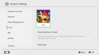 Switch System Settings User