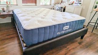 Bear Elite Hybrid mattress