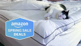 A cute, fluffy cat naps on the ViscoSoft Hybrid Lux Topper with an Amazon deals badge in the corner