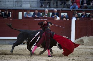 Bullfighter Oliva Soto performs at the Las Ventas bullring on May 6, 2012, in Madrid, Spain.