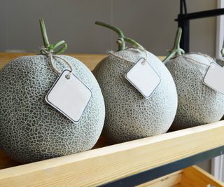 Three cantaloupes on a shelf with paper tags hanging from the stems