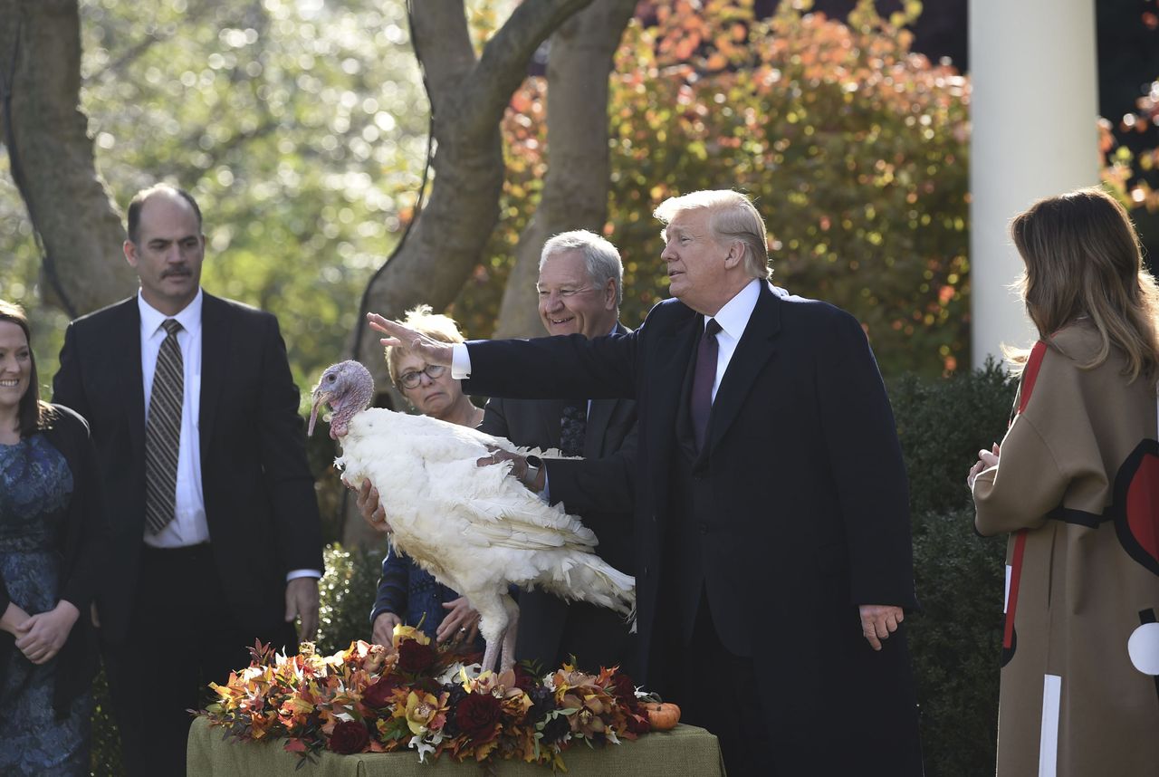 Donald Trump pardons a turkey.