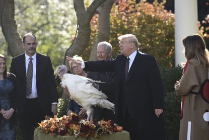 Donald Trump pardons a turkey.