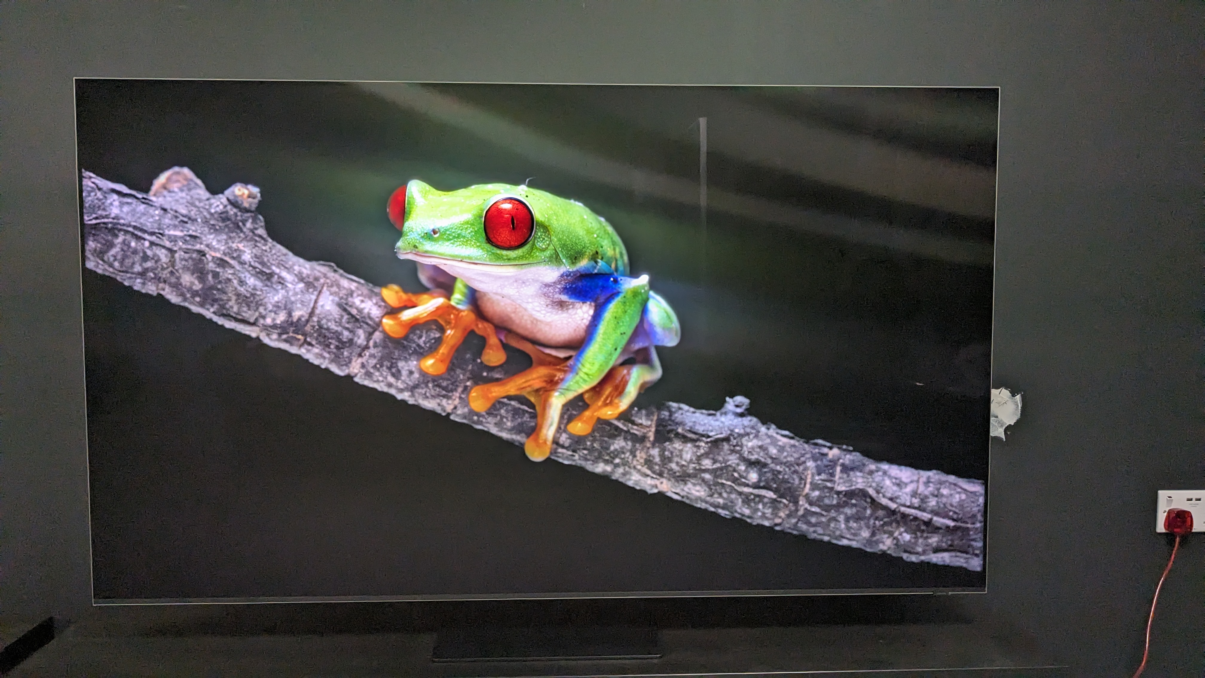 Samsung QN800D avec grenouille à l'écran