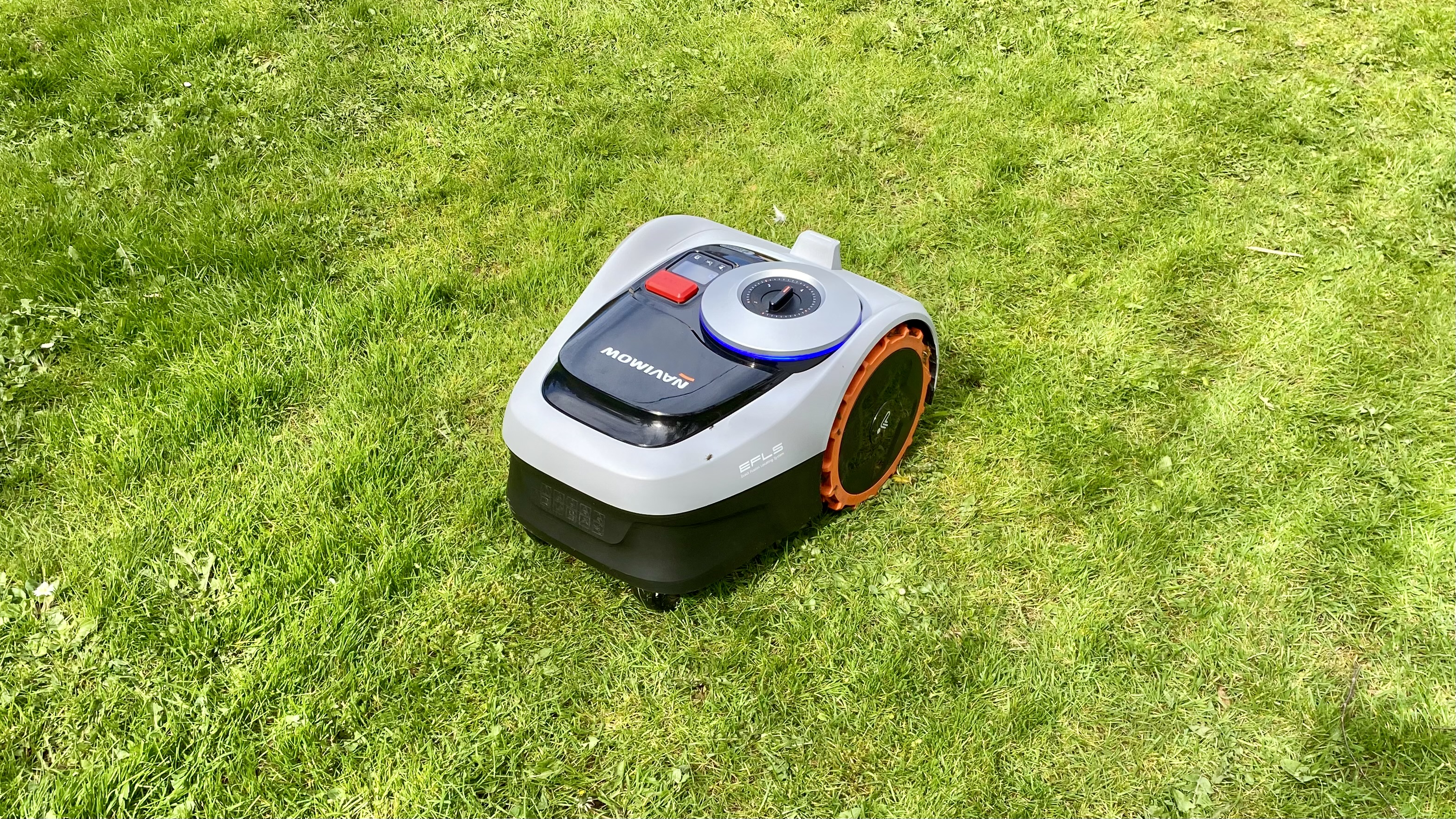 Segway Navimow on lawn