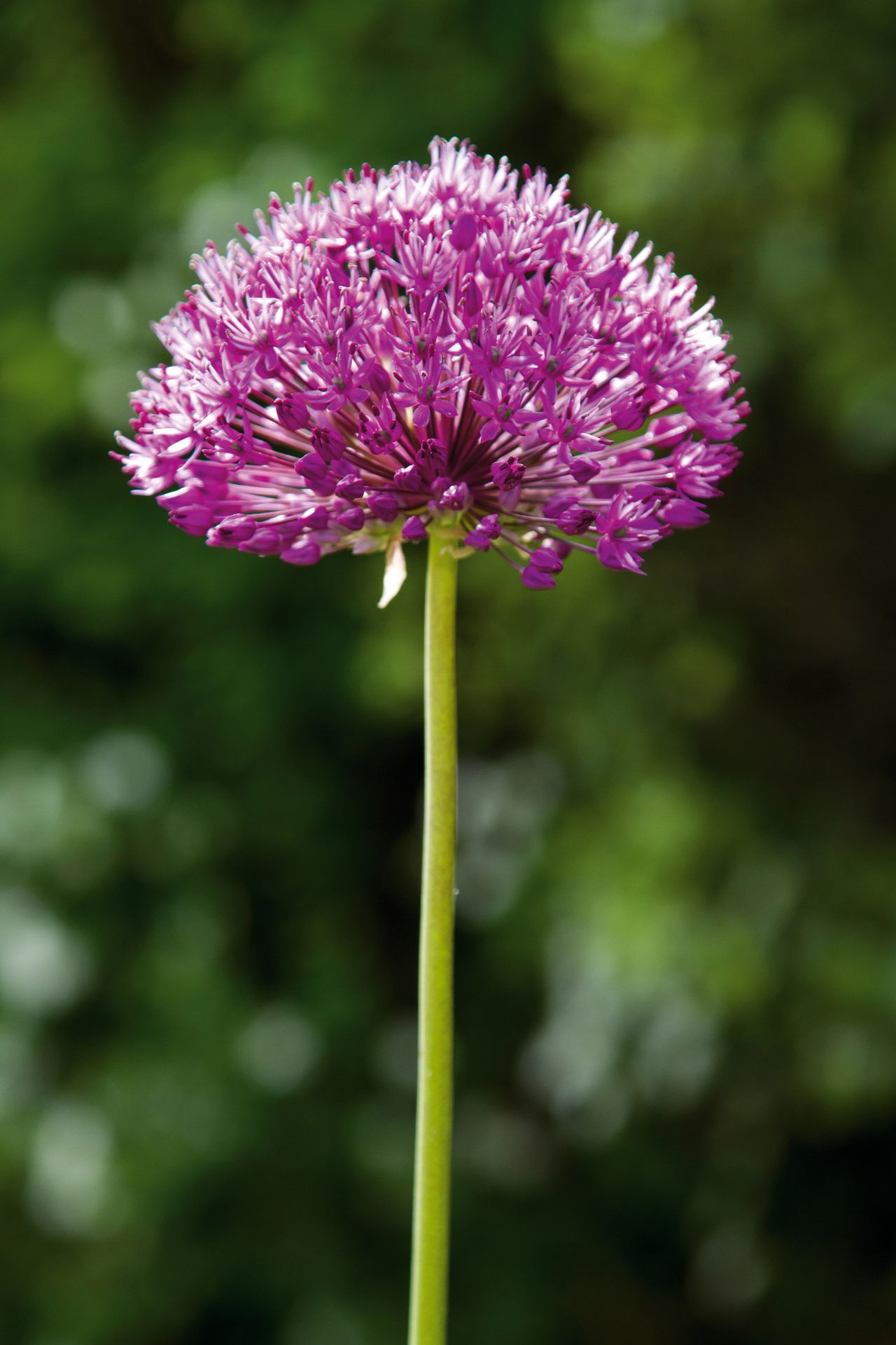 &hellip; but at f/5.6 we have shallow depth of field while retaining sharpness