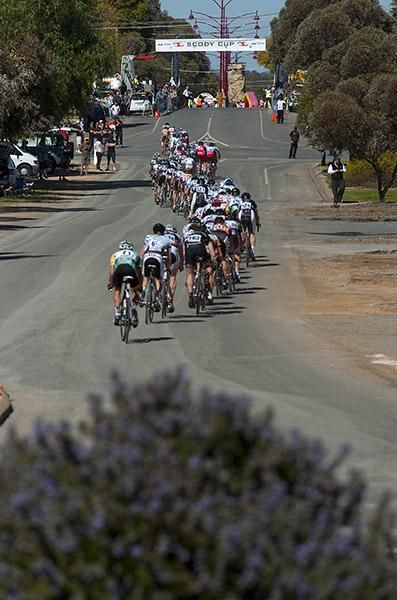 The peloton make their way up the home straight in Ouyen.