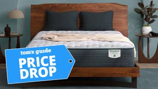 Beautyrest Harmony Lux mattress placed on a wooden bedframe with a blue price drop sales badge overlaid