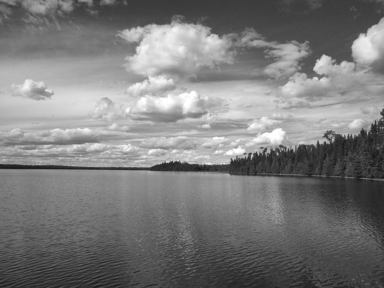 Image taken with the Camp Snap CS-Pro