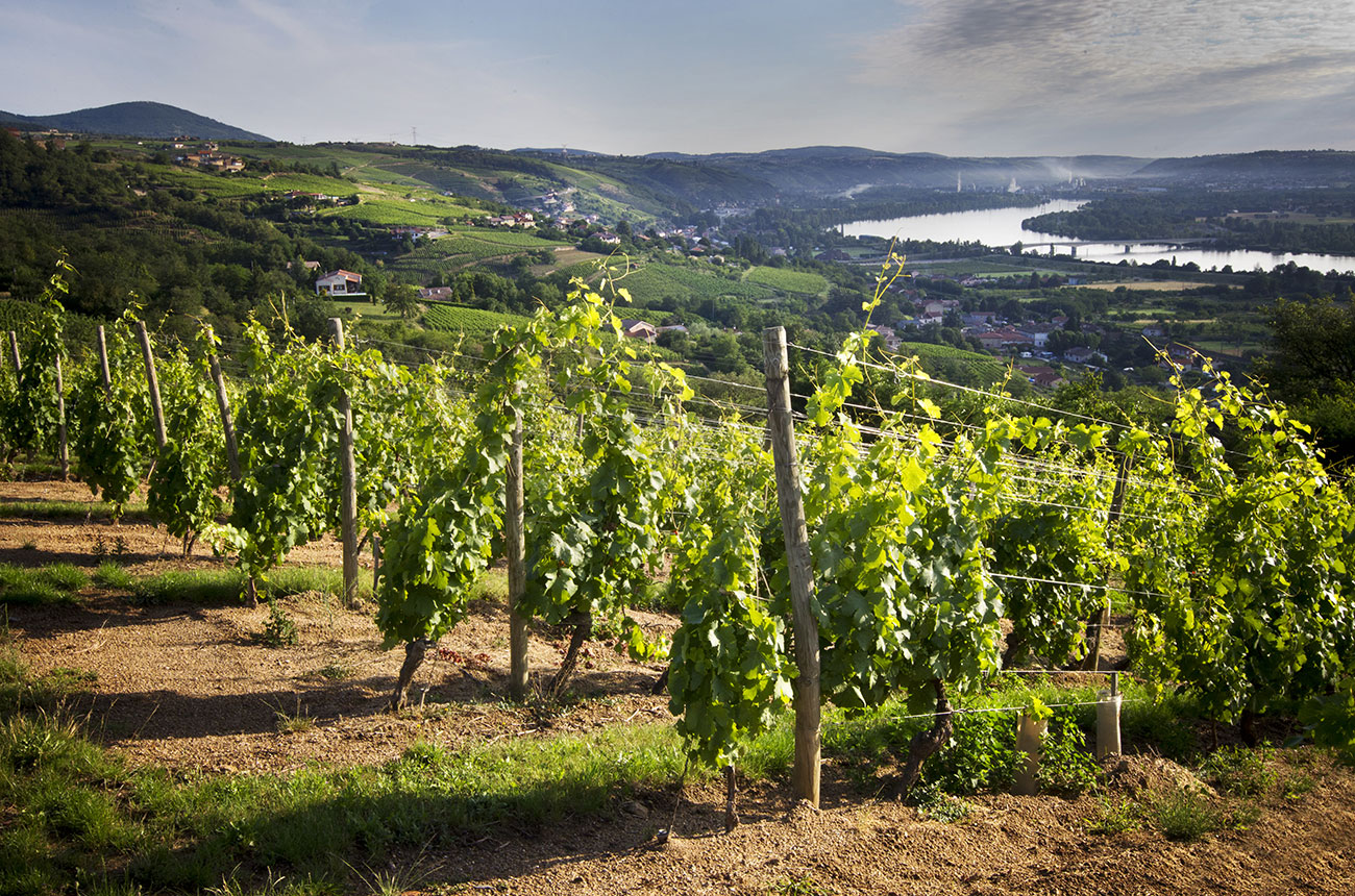 Br&eacute;z&egrave;me and Seyssuel