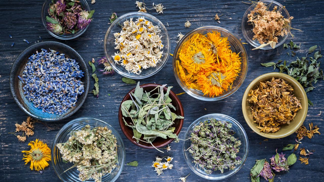 assorted herbs dried in preparation for tea making