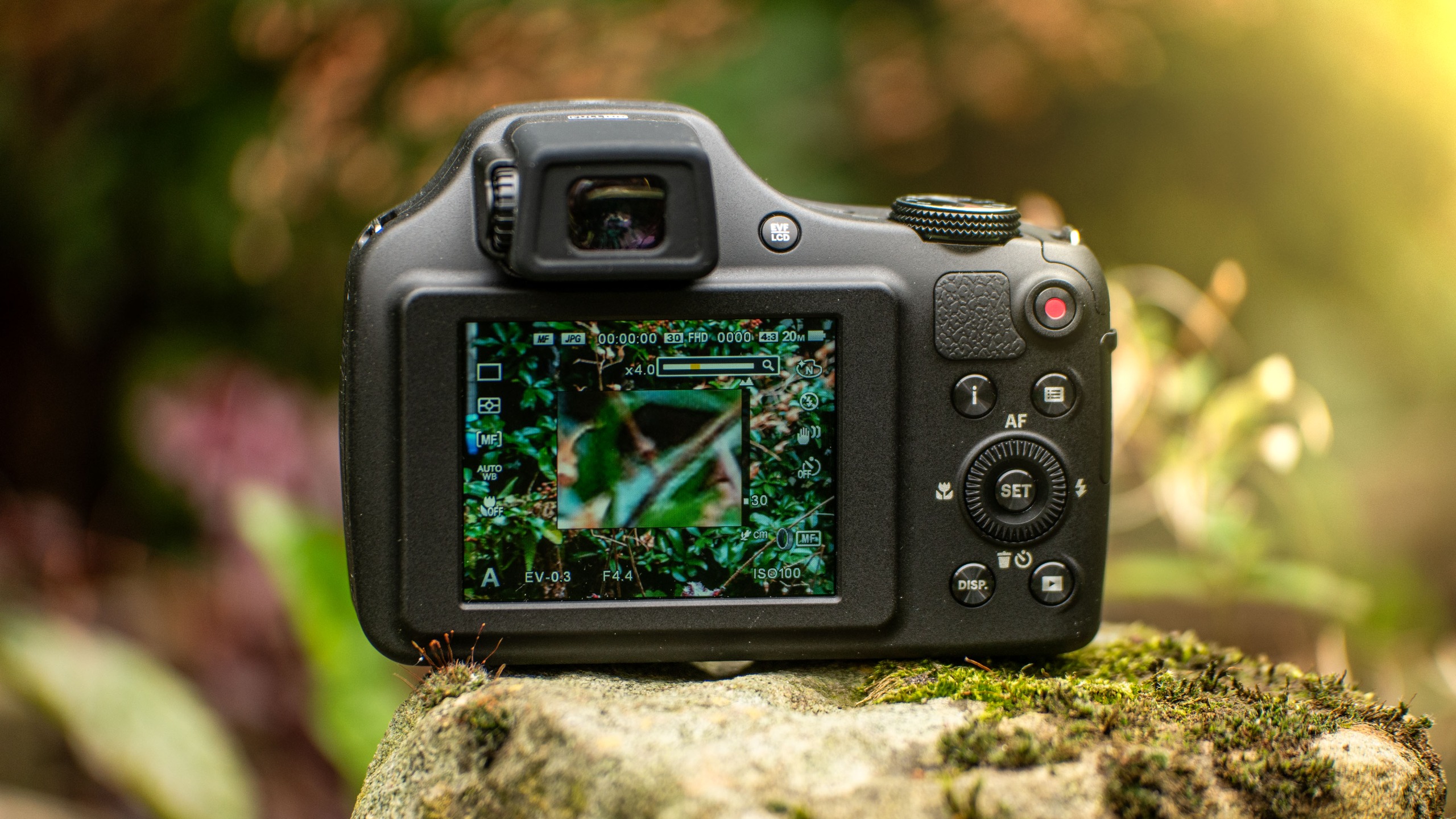 The Kodak AZ653 bridge camera outdoors