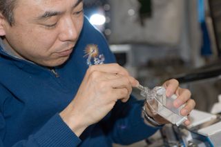 Japan Aerospace Exploration Agency astronaut Satoshi Furukawa, Expedition 29 flight engineer, works on the Commercial Generic Bioprocessing Apparatus 5/Science Insert-05 (CGBA-5/CSI-5) experiment in the Columbus laboratory on Oct. 18, 2011 of the Internat