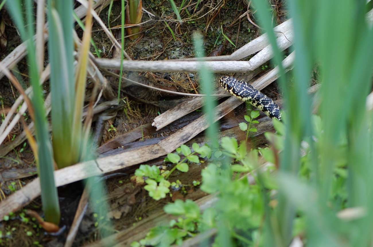 Fine wine sustainability
