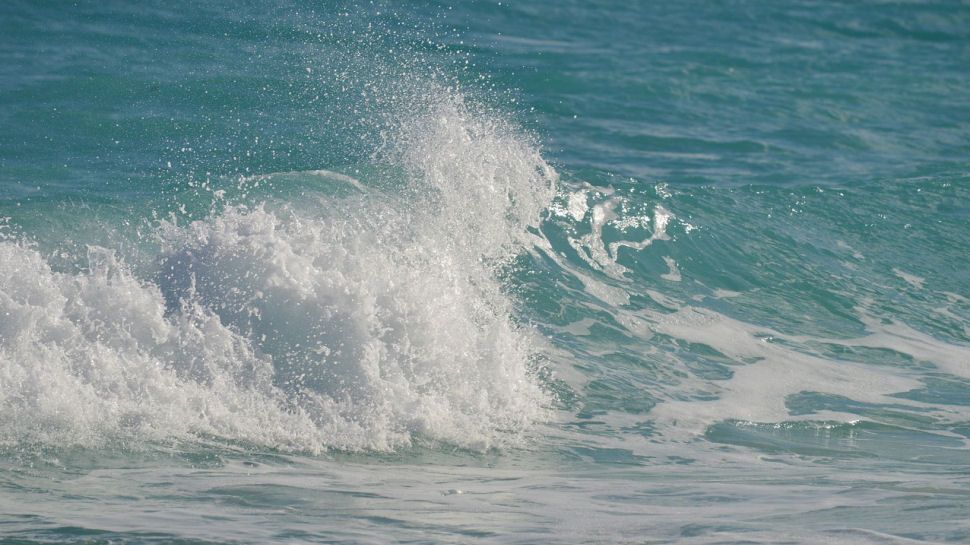 Ocean waves at the shore