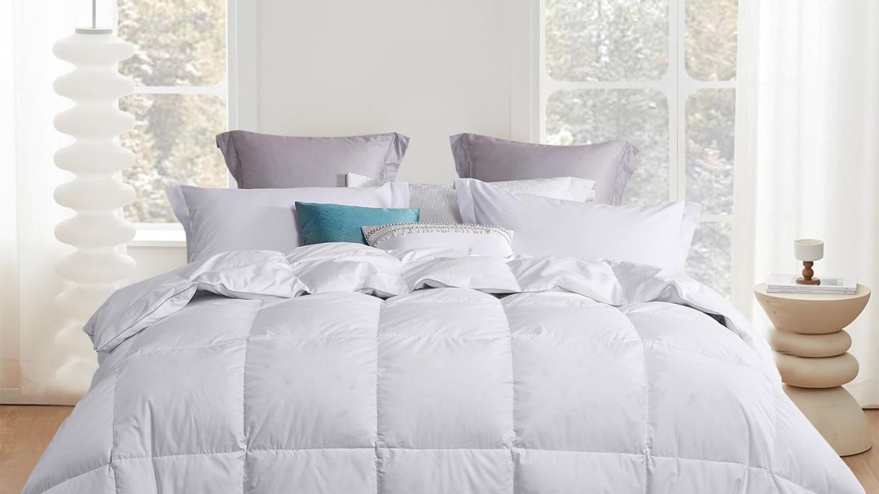 Martha Stewart comforter on a bed with blue, white and purple pillows against a white wall. 