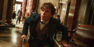 Newt Scamander