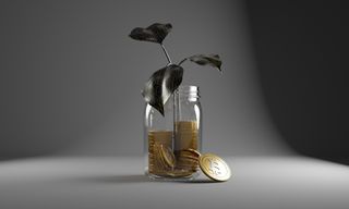 A jar of 3D bitcoins with a plant growing out of it