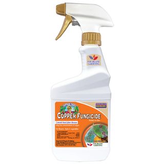 Fungicide Spray for Organic Gardening