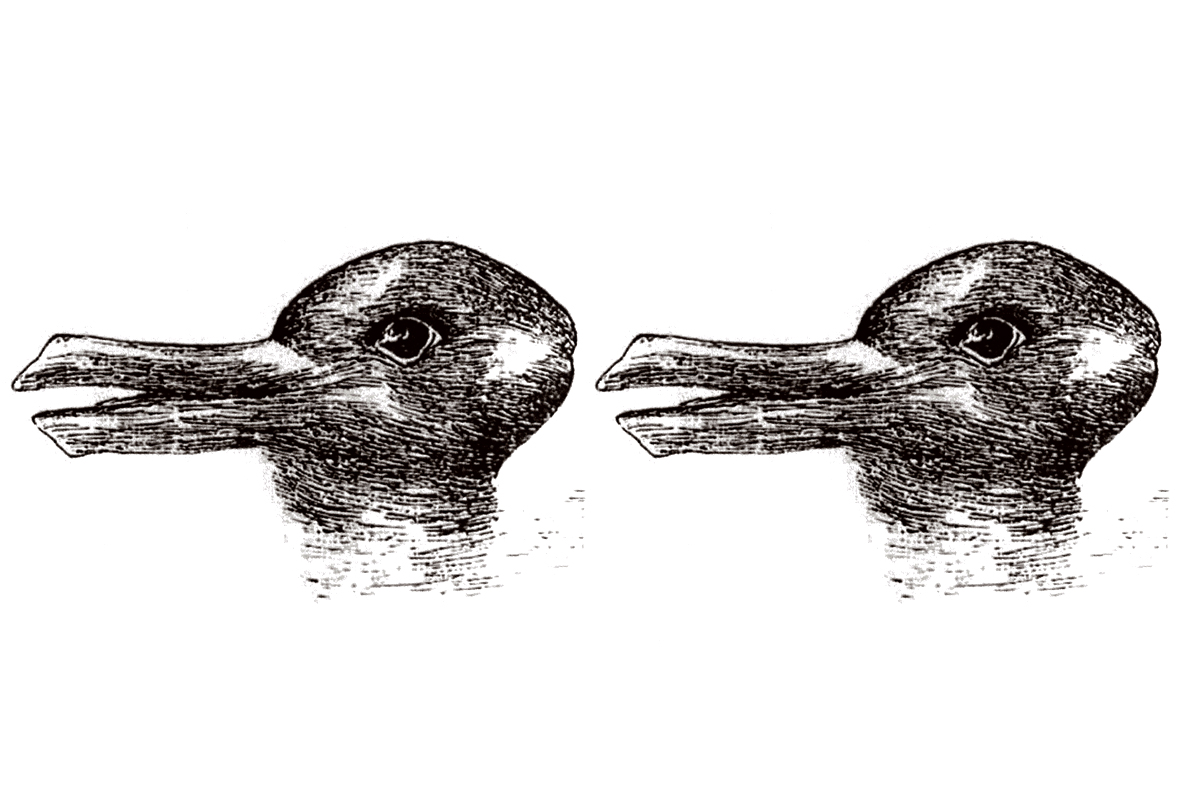 Duck or rabbit? 100-year-old optical illusion could tell you how