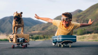 A boy and his dog ride skateboards side-by-side.