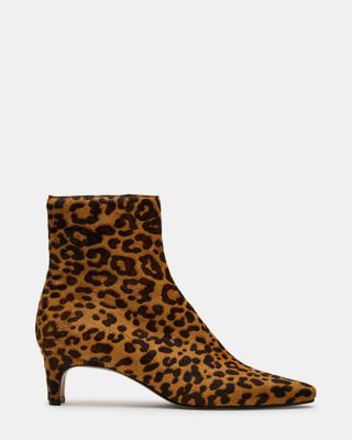 Delvie Leopard Kitten Heel Ankle Boot | Women's Booties 
 Steve Madden