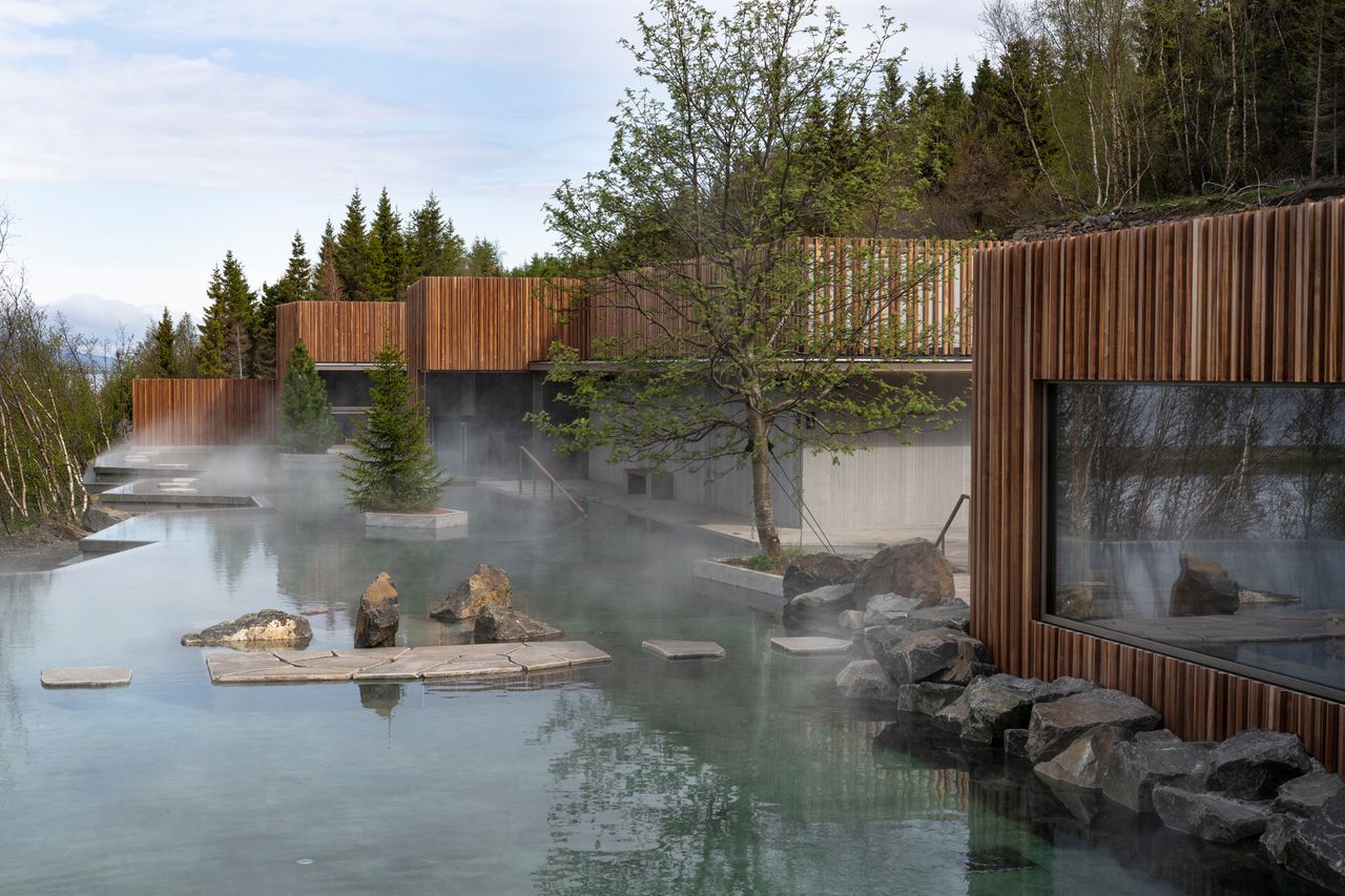 View of iceland&#039;s forest lagoon