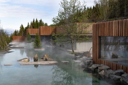 View of iceland's forest lagoon