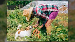 Woman in garden feeding carrot to dog_Iuliia Bondar via Getty Images