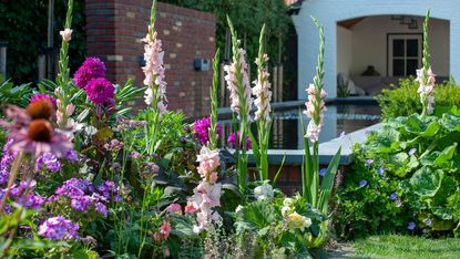 flower bed ideas: purple flowers in front of water feature