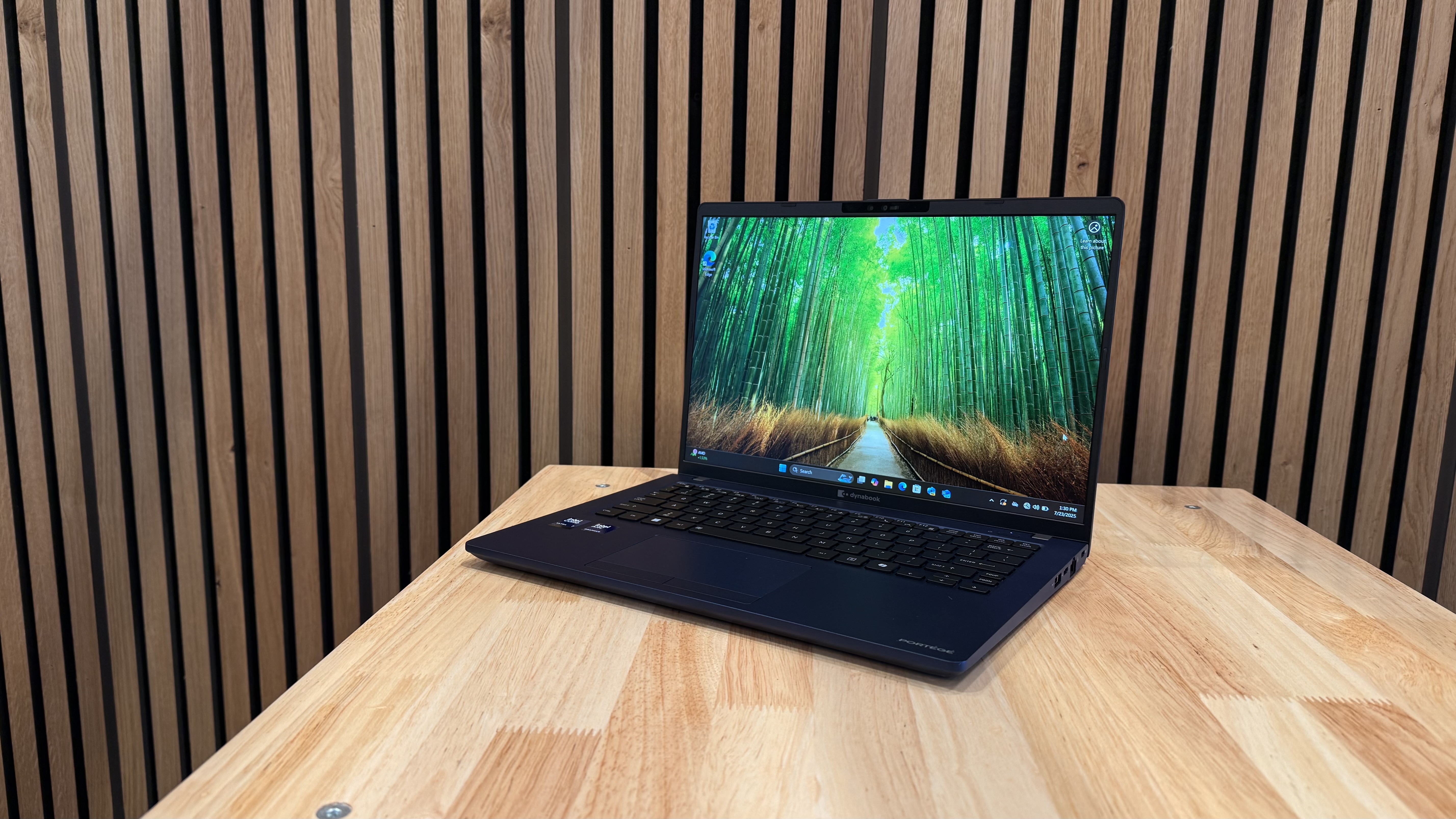 Dynabook Port&amp;eacute;g&amp;eacute; Z40L-N