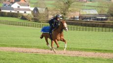 2026-Markel-Magnolia-Cup-rider-Gemma-Owen-riding-out-at-Manor-House-Stables.jpeg