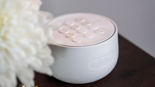 Adt 2024 nest protect