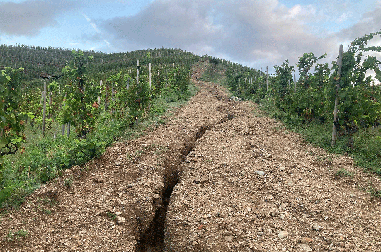 Northern Rh&amp;ocirc;ne 2022 diary