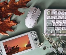 Flat lay of a gaming setup featuring a pastel-themed keyboard, a white gaming mouse, a handheld gaming console displaying a sunset scene, autumn leaves, and eucalyptus on a green surface.