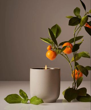 neutral colored candle
