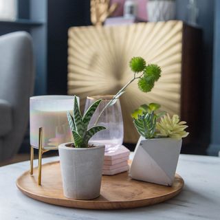 close up of succulents and candle on a wooden tray on top of a marble coffee table in a living room