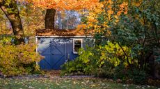 Fall garden