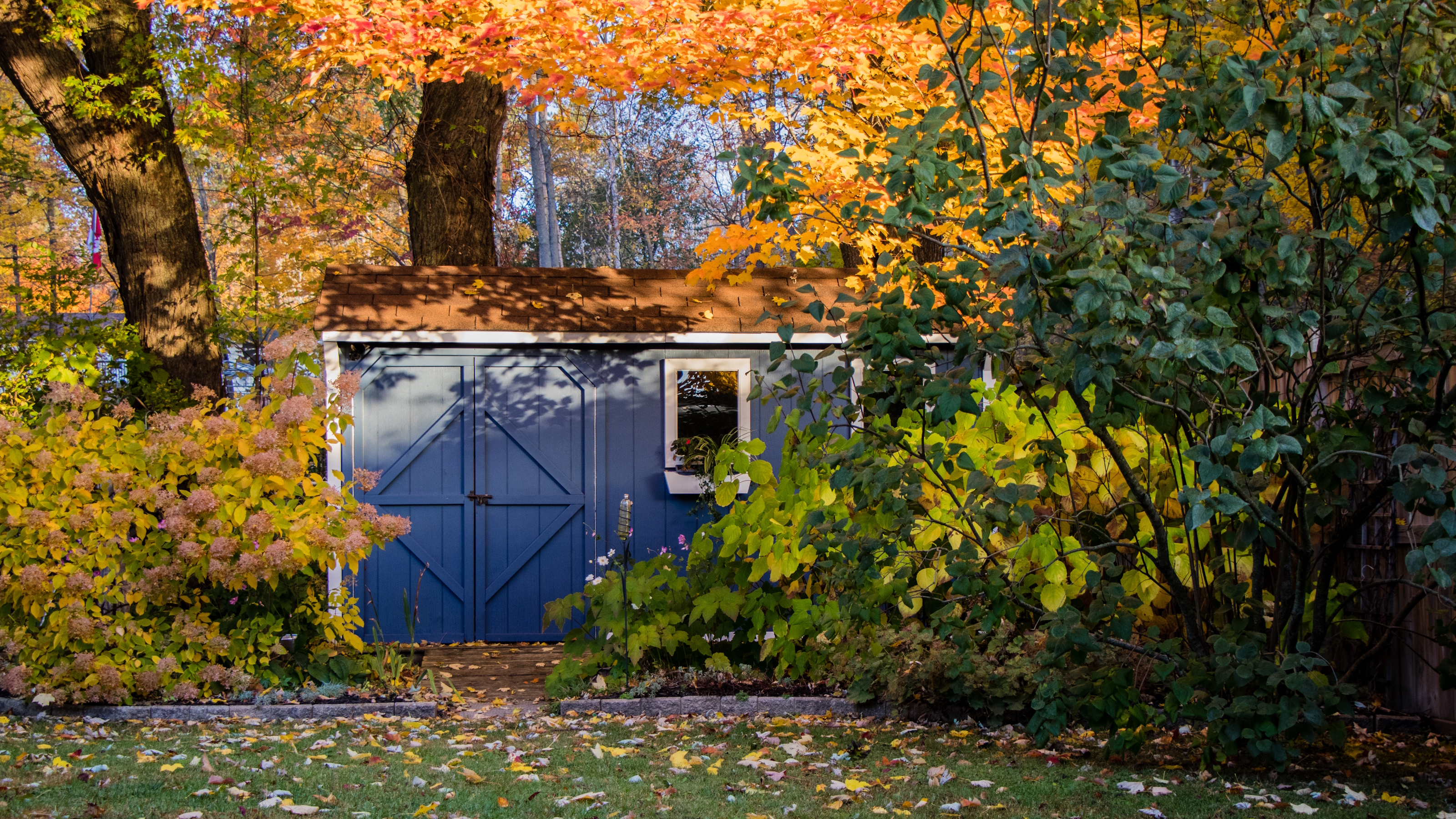 Fall garden