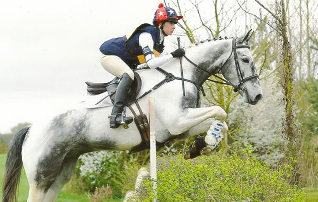 eventers for sale
