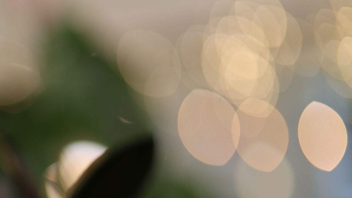 Canon RF 45mm f/1.2