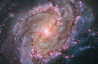 This Hubble Space Telescope image shows the full beauty of nearby spiral galaxy M83 in a mosaic of many photos stitched together. The magentas and blues indicate star-forming regions. Also known as the Southern Pinwheel, M83 is located 15 million light-ye