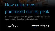 A whitepaper from Amazon Shipping on customer behaviour during peak season in retail