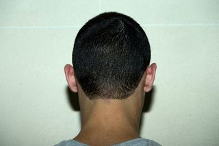 back of male models head with short dark hair