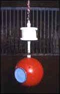 DB1B7CD6-DAAD-4BC6-AA8B-AD20E183BB06.jpg
